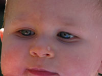 close-up